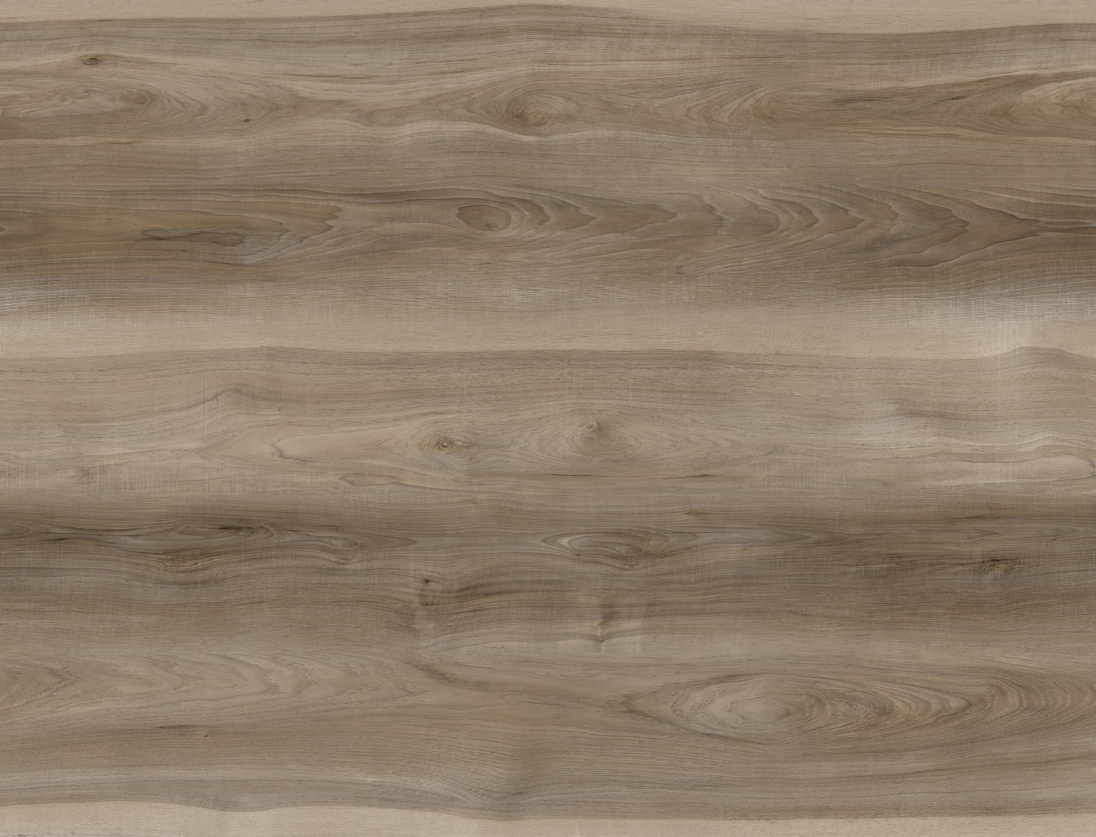 Tofino 1.0 camelot - Vinyle-Clic