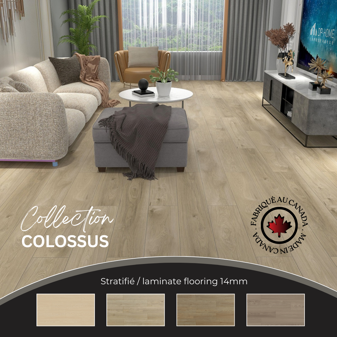 Colossus collection - Bois flottant