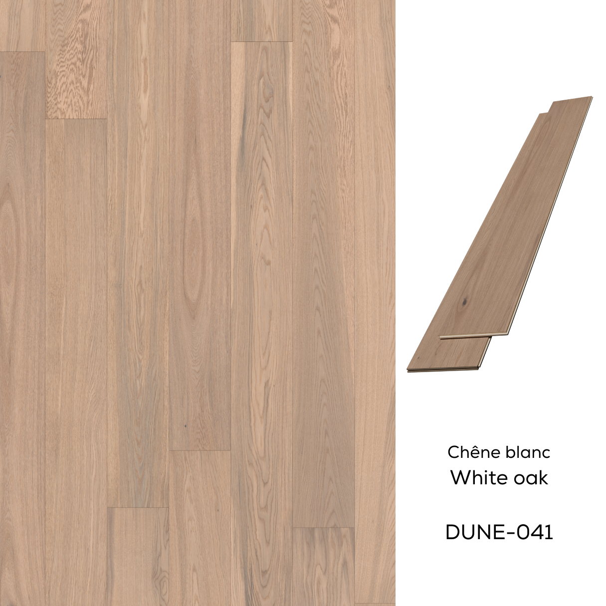 041-dune