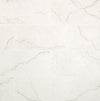Gold-12x24 et 24x48