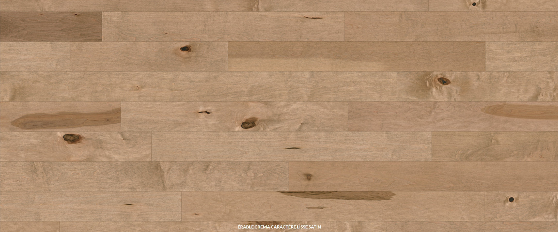 Alexandra collection - Bois franc érable crema caractère solid