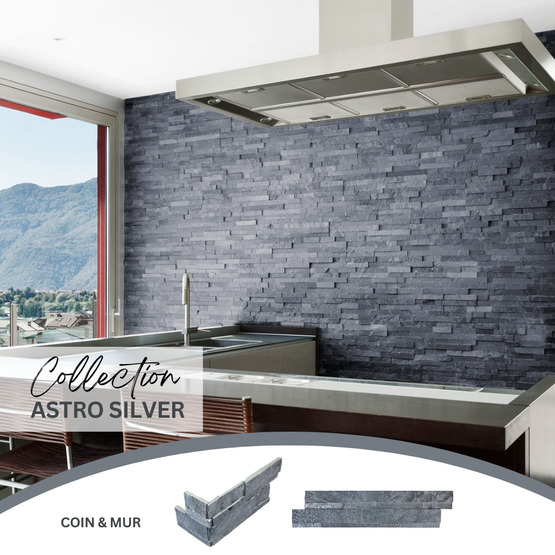 Ledger stone collection - pierre murale astro silver