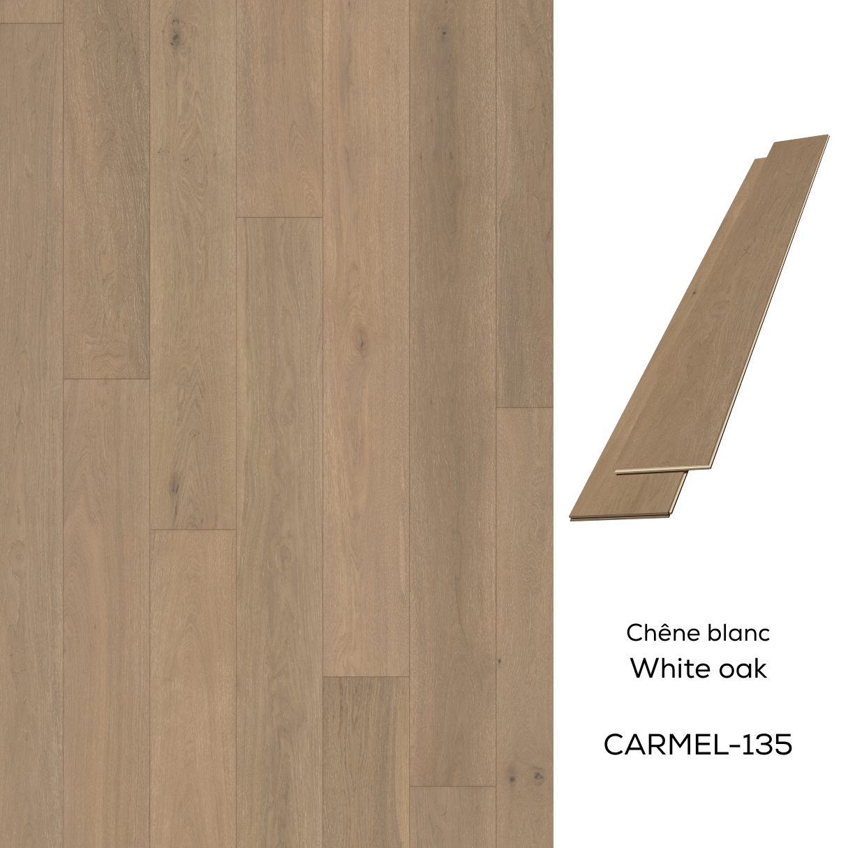 135-carmel