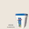 5038-Avalanche