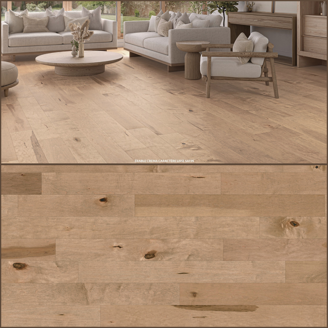 Alexandra collection - Bois franc érable crema caractère solid