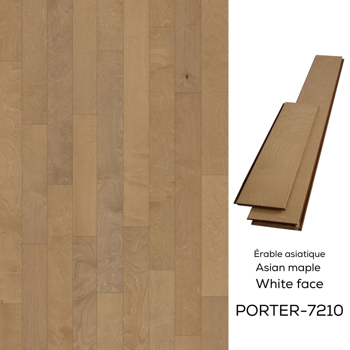 7210-Porter white face