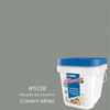 5228-Mousse de caverne