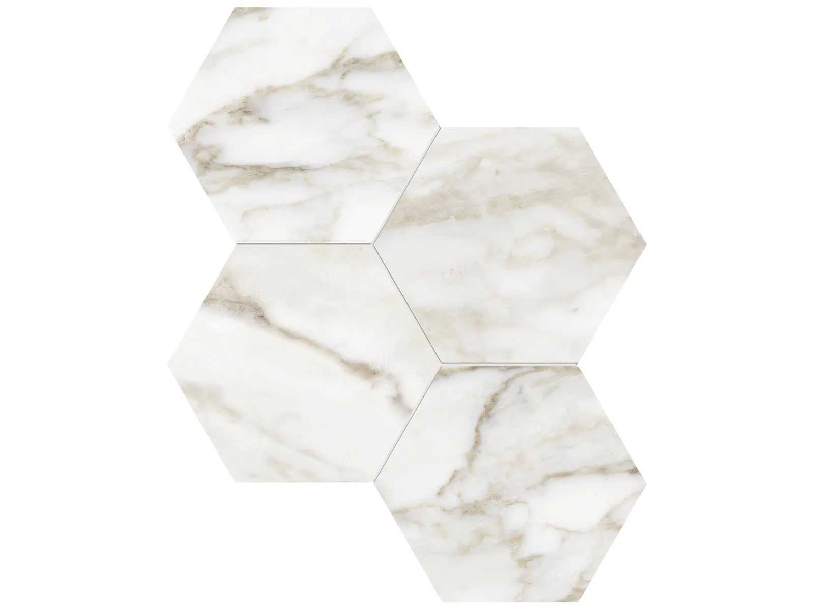 Calacatta Paonazzo-hex-6x6