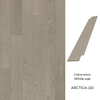 110-Arctica