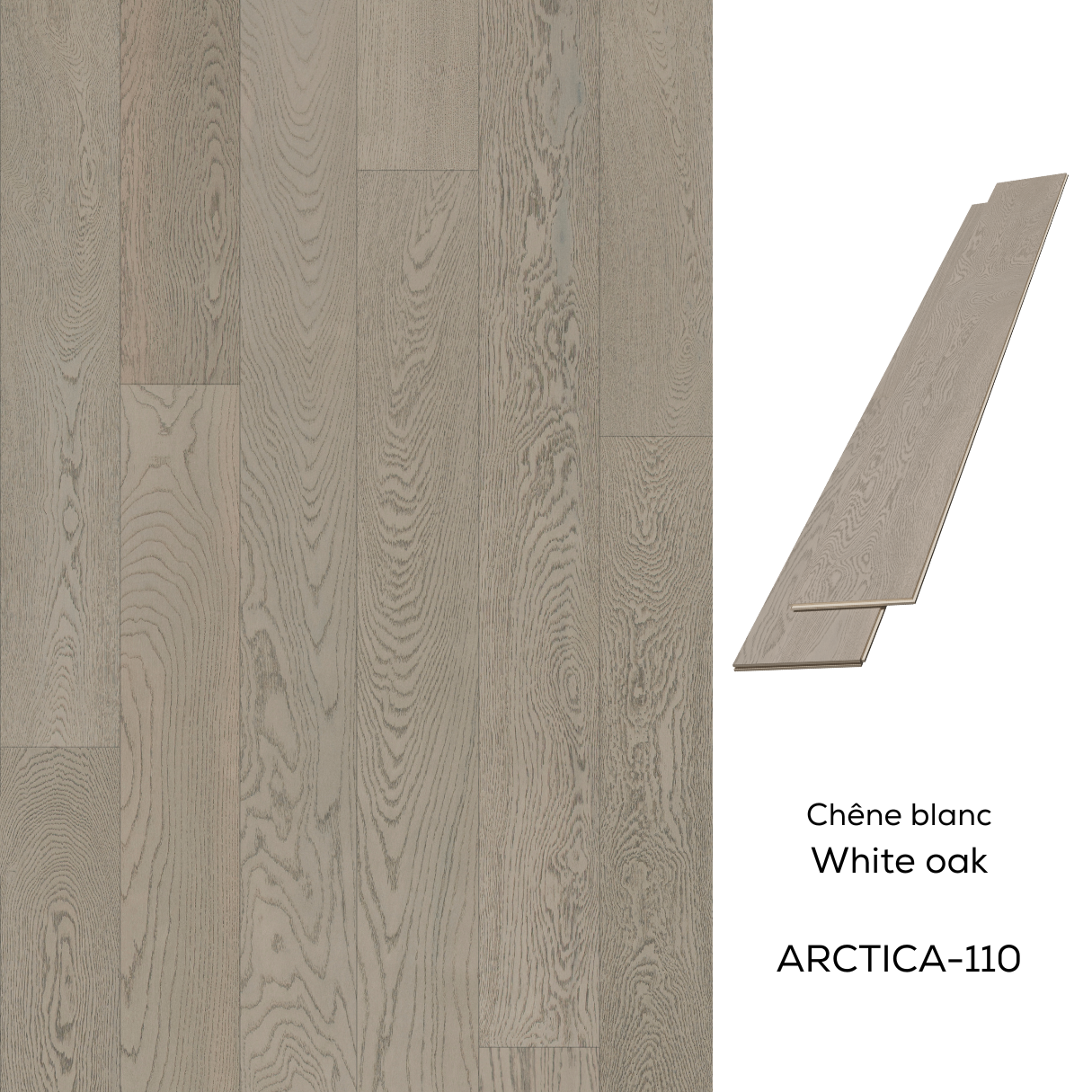 110-Arctica