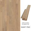 7310-Giant