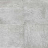 evolution-gris-master