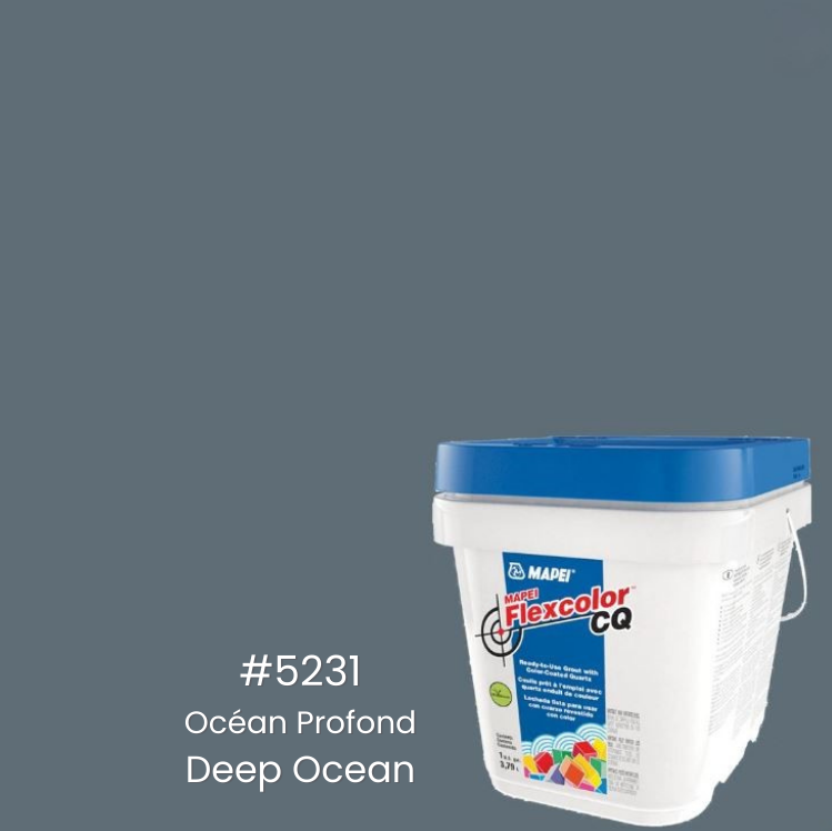 5231-Océan profond