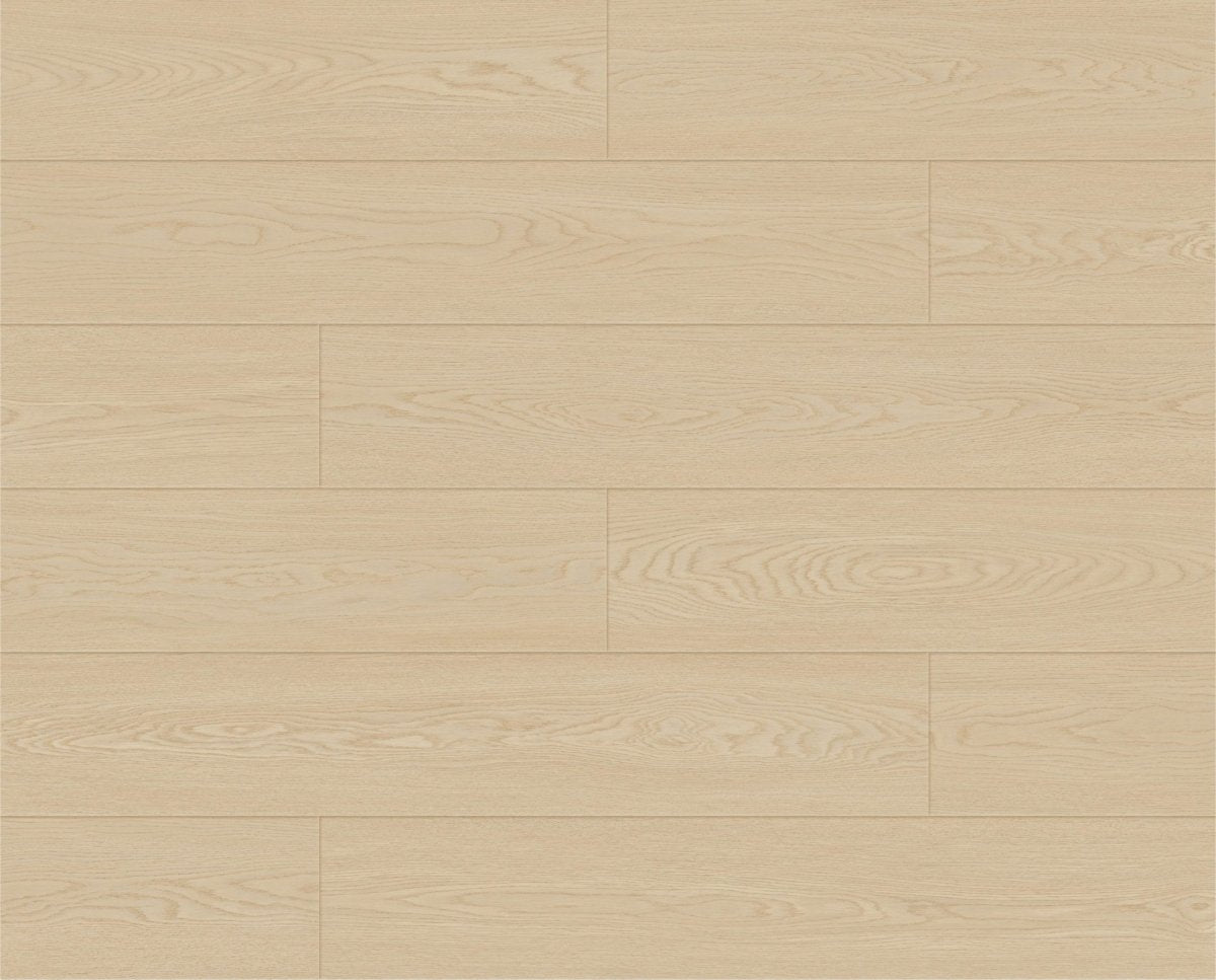 Colossus collection - Bois flottant