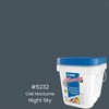 5232-Ciel nocture