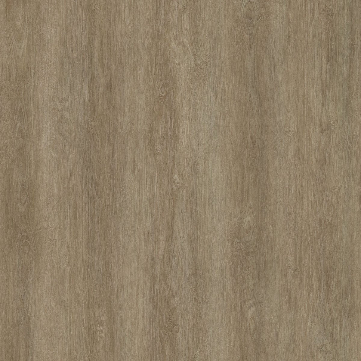 Evolution purflex - glue down lvp vinyl flooring (7x48 plank)