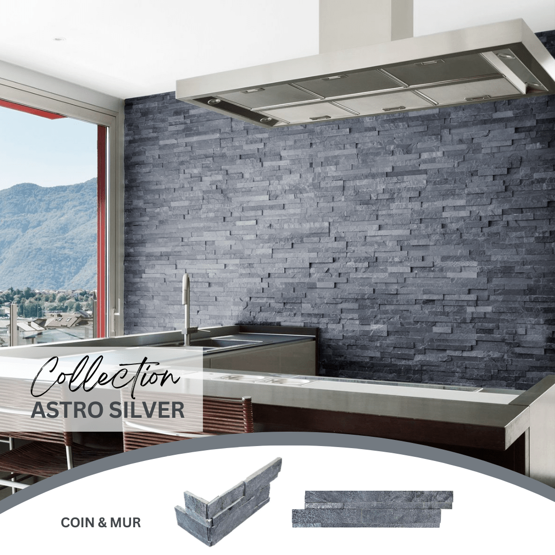 Ledger stone collection - Pierre murale astro silver