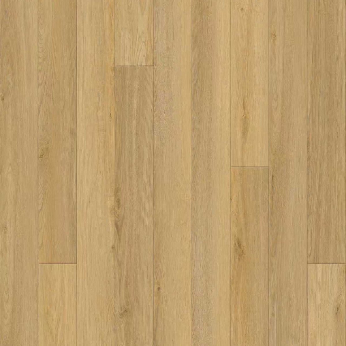 Nordik 72 collection - Bois flottant - Céramique l'Entrepôt