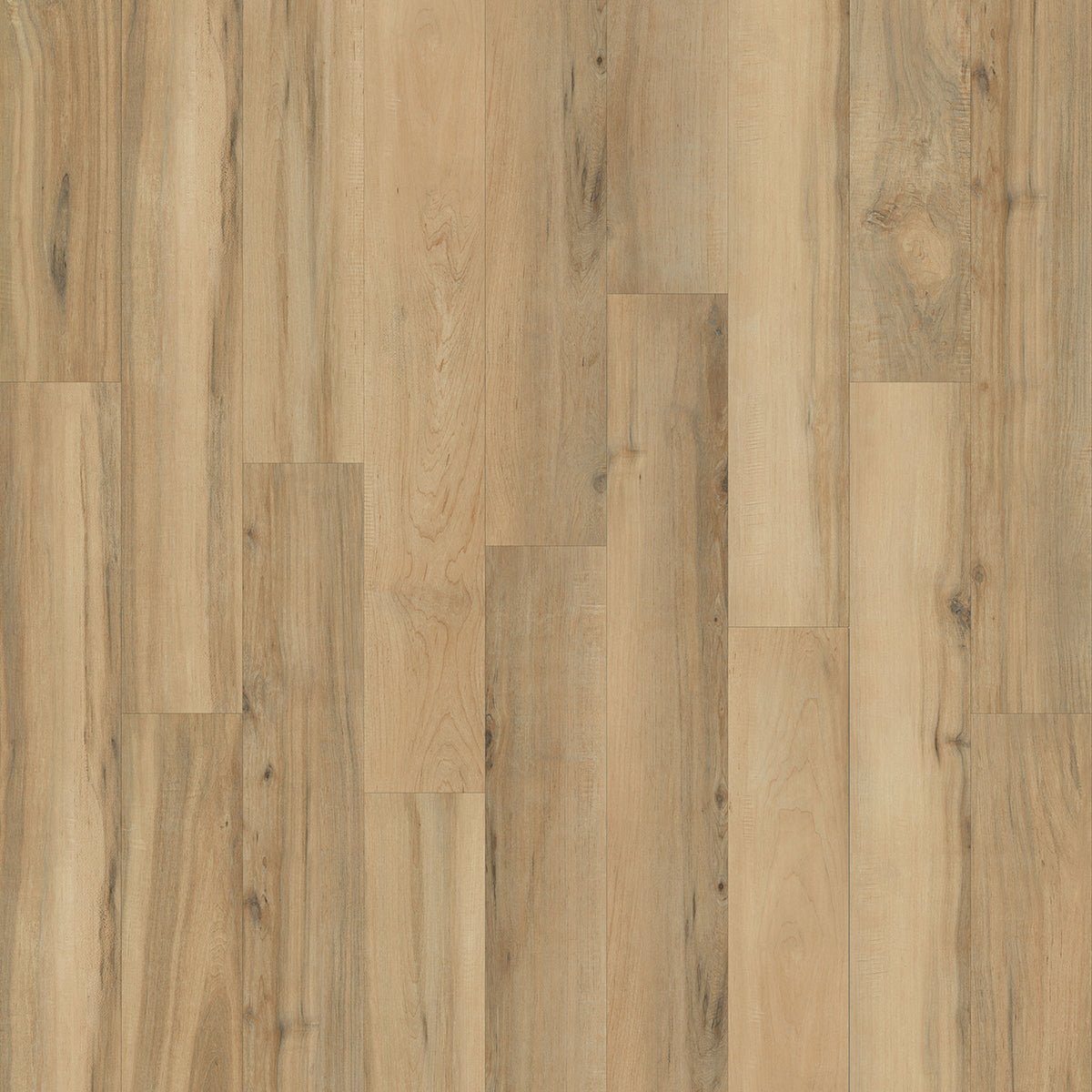 Nordik 72 collection - Bois flottant - Céramique l'Entrepôt