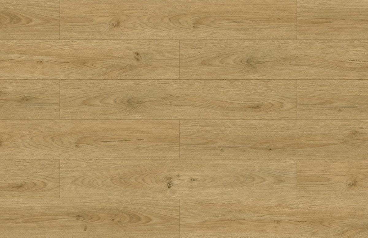 Superieure collection - Bois flottant