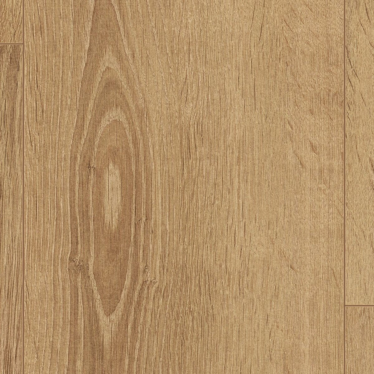 Titan collection - Bois flottant